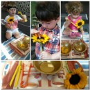 Sunflower activity in our Brainy Montessori Class